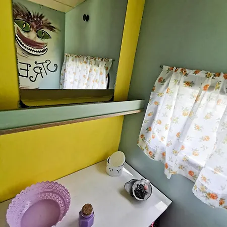 Alice In Wonderland 캠프장